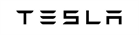 Tesla logo