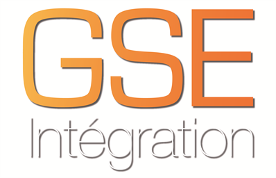 GSE Integration logo