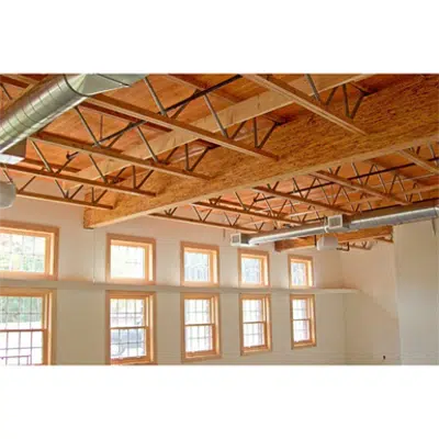 Pitched Profile Open-Web Trusses, Red-M™图像