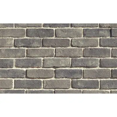 Image for Brick Veneer - TundraBrick