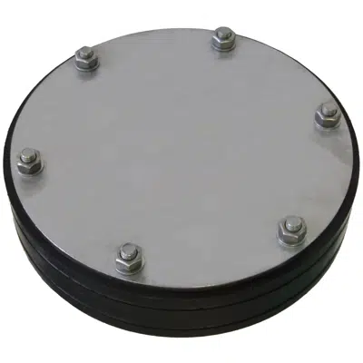 MASTER-RING | Gasket Insert | Blind Plug图像