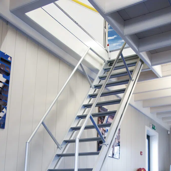 Gorter® Trappe de toit RHT avec escalier fixe