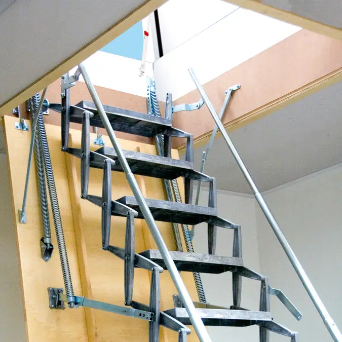 Gorter® Dachausstieg RHT mit Scherentreppe