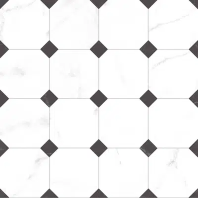 Image for DURAGRES Floor & Wall Tiles Bundhaya White
