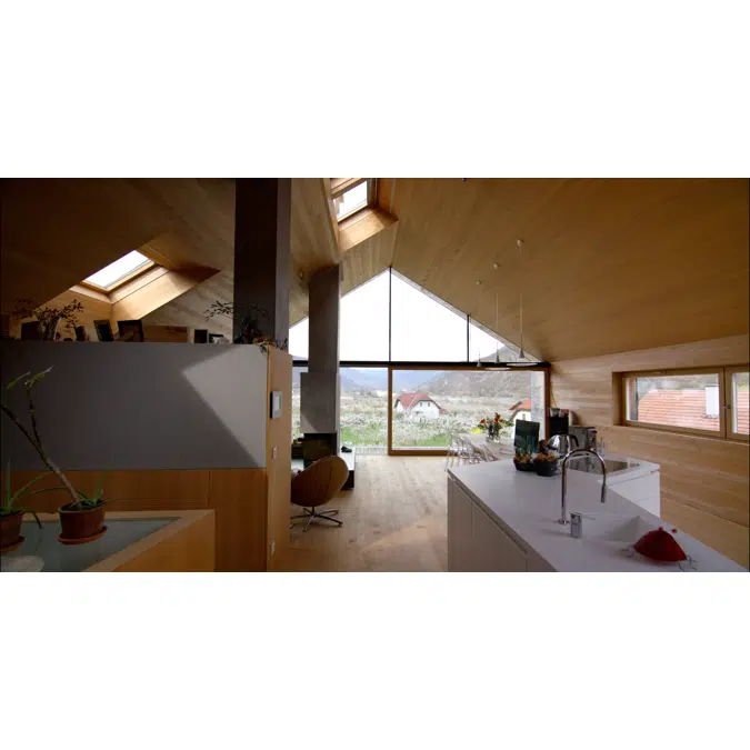 VELUX Daylight Visualizer