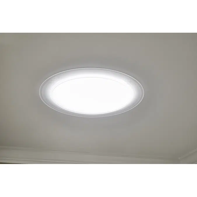 14" Self-flashed Pitched Sun Tunnel Skylight (TMC) for sloped roofs 14 - 60 degrees