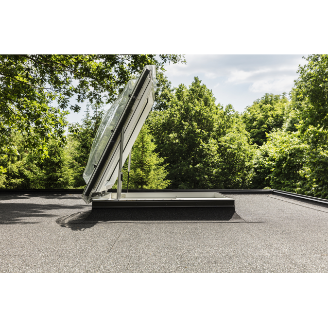 Roof Access / Craftman's Exit w. Dome Flat roof window - CXP ISD