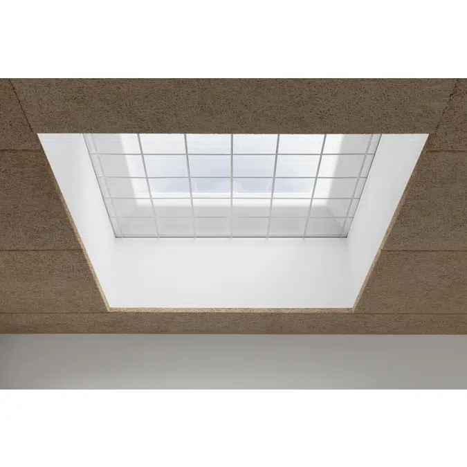 Fixed flat roof window with dome – CFJ ISJ