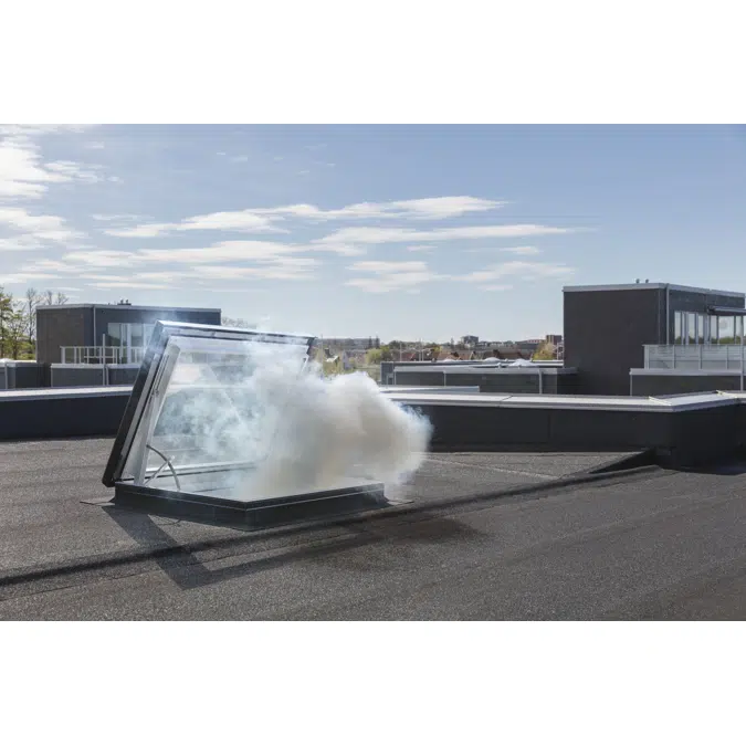 CXU, ELECTRIC, CRAFTSMAN'S EXIT/ROOF ACCESS 