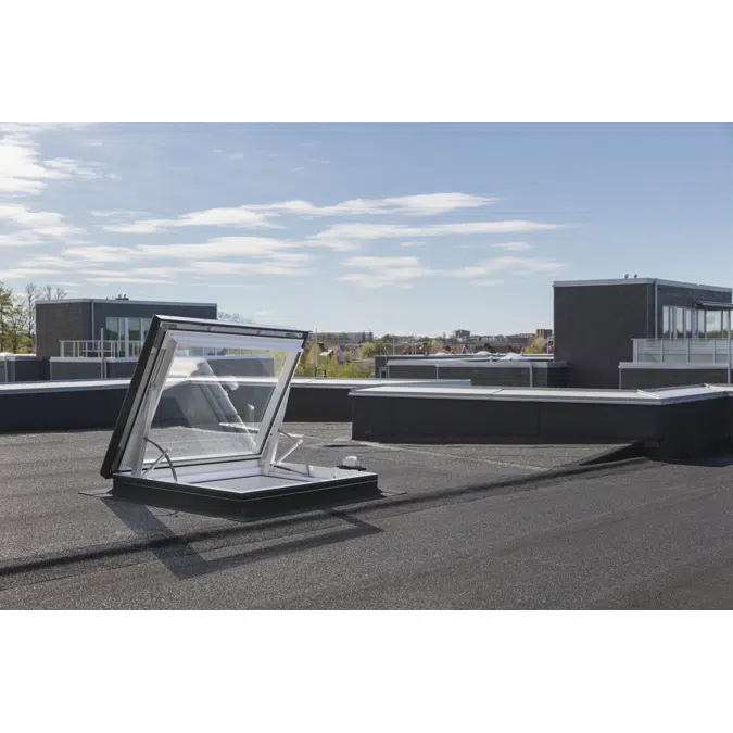 CXU, ELECTRIC, CRAFTSMAN'S EXIT/ROOF ACCESS 
