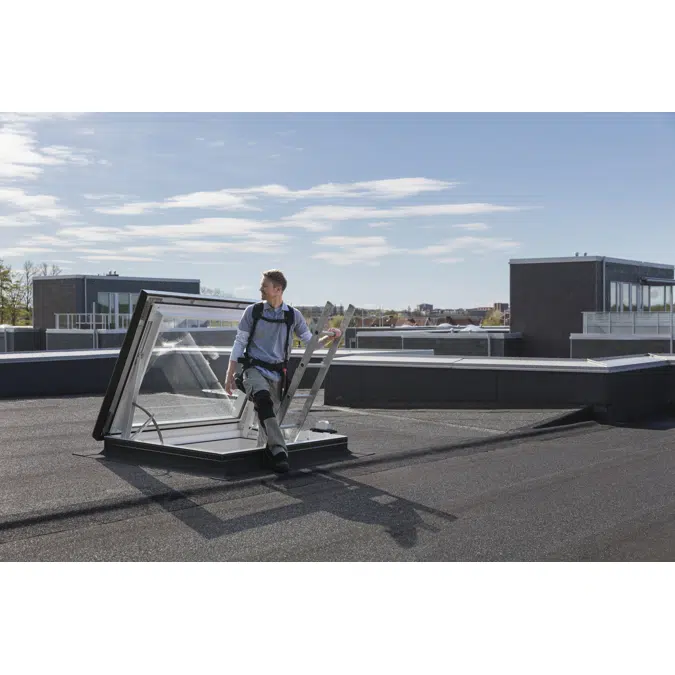 CXU, ELECTRIC, CRAFTSMAN'S EXIT/ROOF ACCESS 