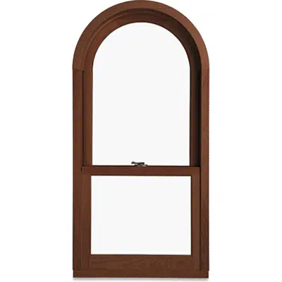 Image pour Ultimate Double Hung Round Top G2 Window