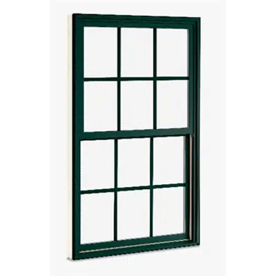 Image pour Essential Single Hung Window