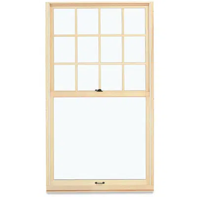 Imagem para Ultimate Wood Double Hung Magnum Window}