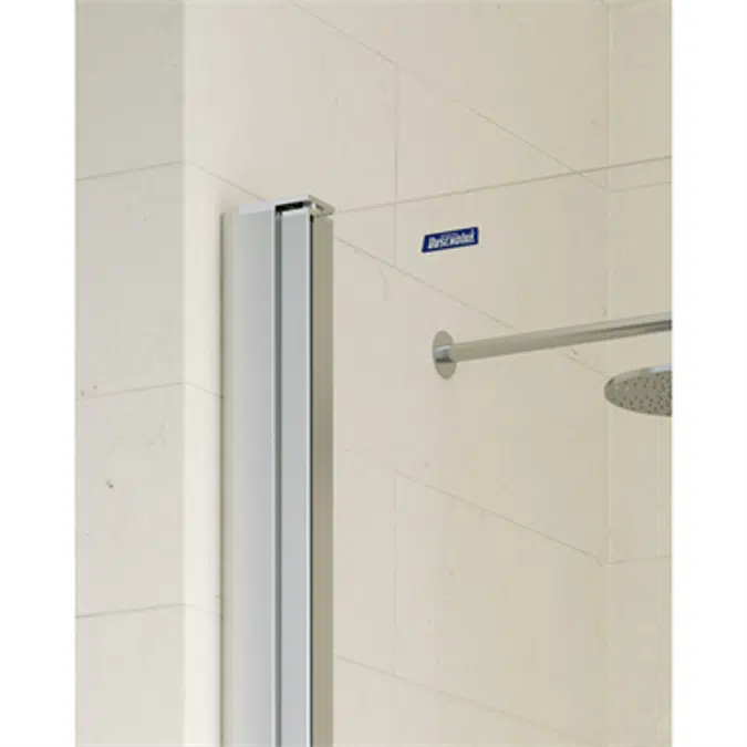 D2 Egipthia  - 1 Pivot door for shower