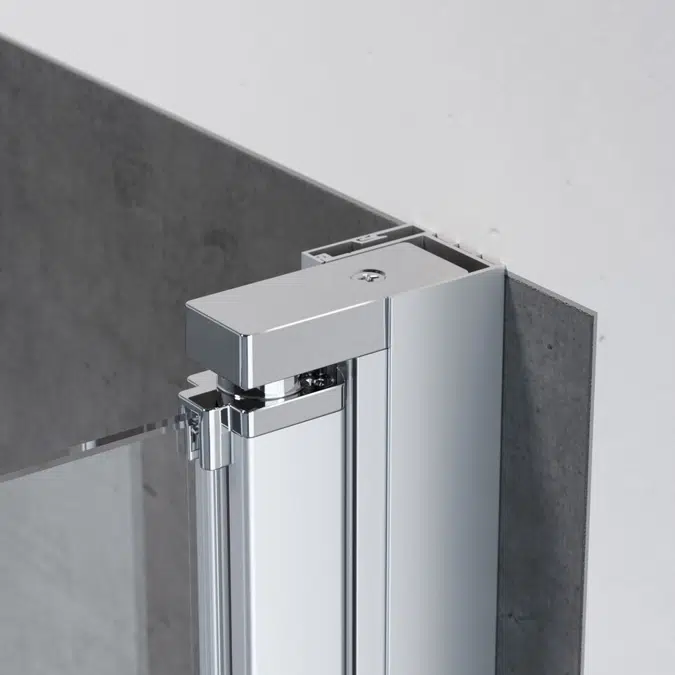 D2 Swing - 2 fixed segments + pivot twin doors at 180º with angle access for shower