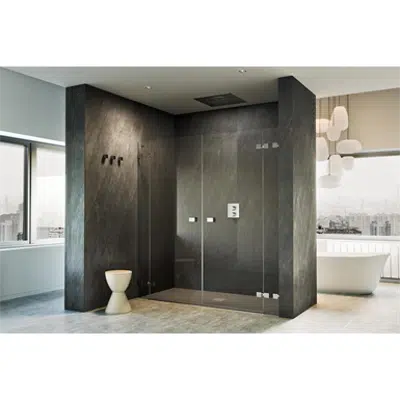 Image for D4 Pure20 - 2 Fixed + Pivot twin doors for shower