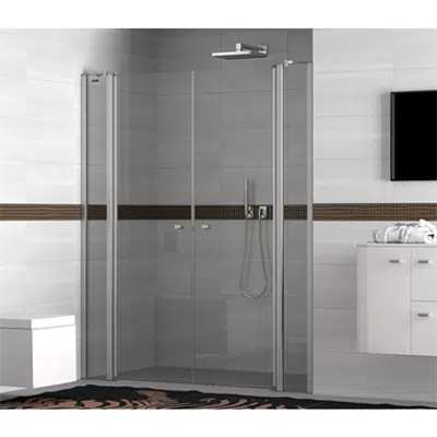 Image for D1 Plus Giro - 2 Fixed + Pivot twin doors for shower