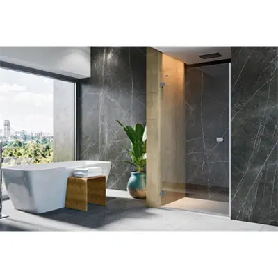 Image for D4 Pure20 - 1 Pivot door for shower