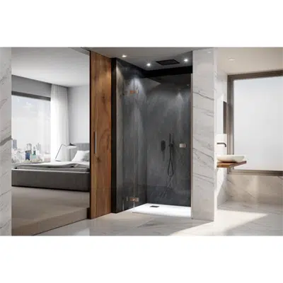 Image for D4 Pure20 - 1 Fixed + 1 Pivot door for shower