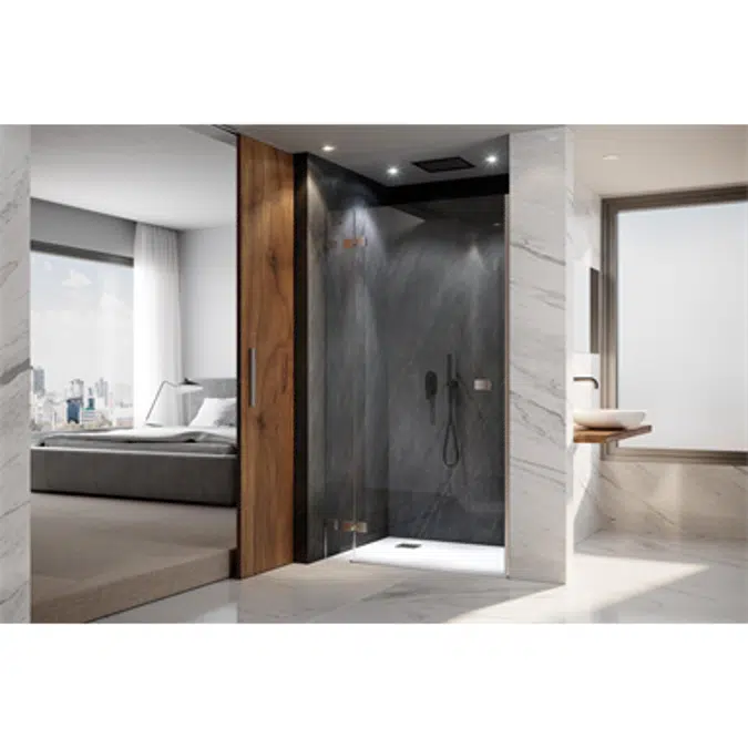 D4 Pure20 - 1 Fixed + 1 Pivot door for shower