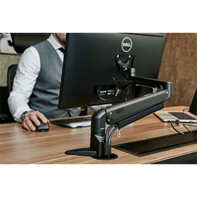 Immagine per Zap monitor arm