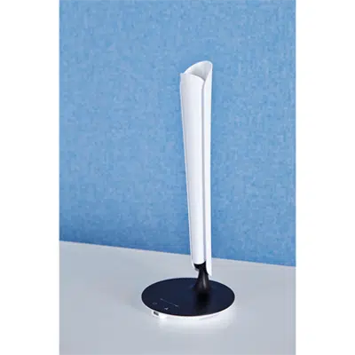 Image for Tulip
