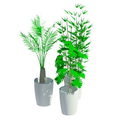 Image for Plants showcase
