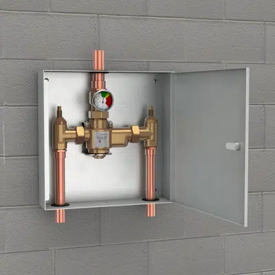 Image for G6042, Thermostatic Mixing Valve, 50 Gallon/189 Liter Capacity, Surface Mounted Stainless Steel Cabinet