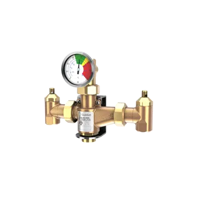 Imagem para G6020, Thermostatic Mixing Valve, 13 Gallon Capacity }