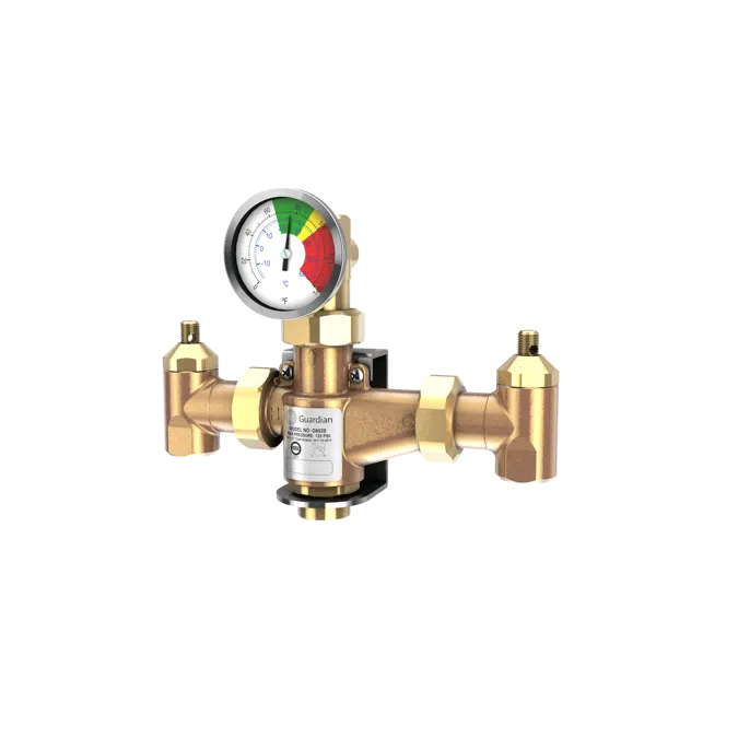 G6020, Thermostatic Mixing Valve, 13 Gallon Capacity 