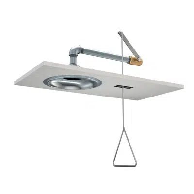 Image for G1629, Emergency Shower, Recess Mounted, Stainless Steel Shower Head