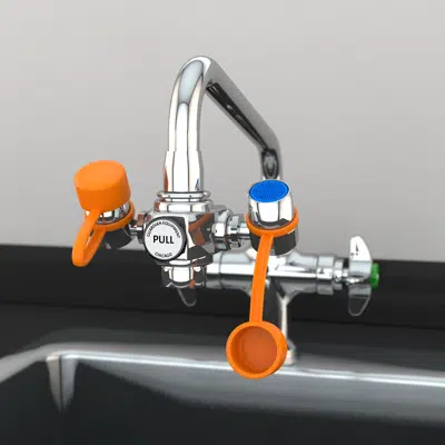 obraz dla G1100, EyeSafe™ Faucet-Mounted Eyewash