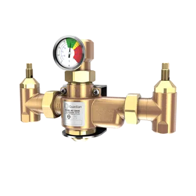 G6040, Thermostatic Mixing Valve, 50 Gallon Capacity  için görüntü