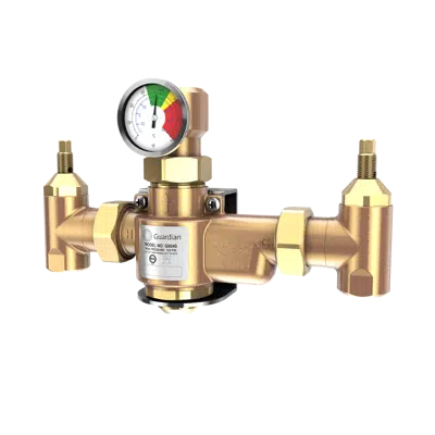 Image for G6040, Thermostatic Mixing Valve, 50 Gallon Capacity 