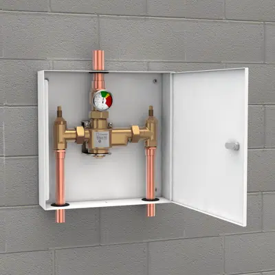 Image for G6041, Thermostatic Mixing Valve, 50 Gallon/189 Liter Capacity, Powder Coated Steel Surface Mounted Cabinet