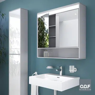 Immagine per Cabinet with 2 doors and LED light + shelf 80 x 75cm