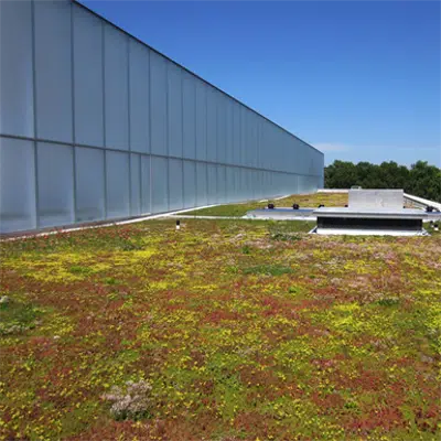 Imagem para LIGHTWEIGHT GREEN ROOF 0 - 4˚ OR 0/1:12}