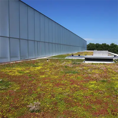 Image for LIGHTWEIGHT GREEN ROOF 0 - 4˚ OR 0/1:12