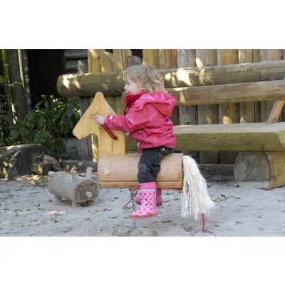 Image for Swinging Horse | Playground Equipment