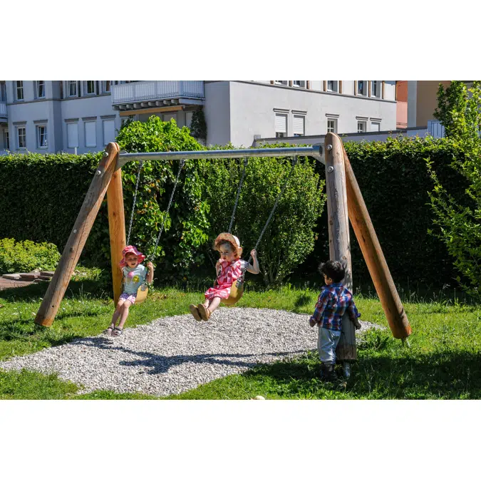 Toddler's Twin Swing special