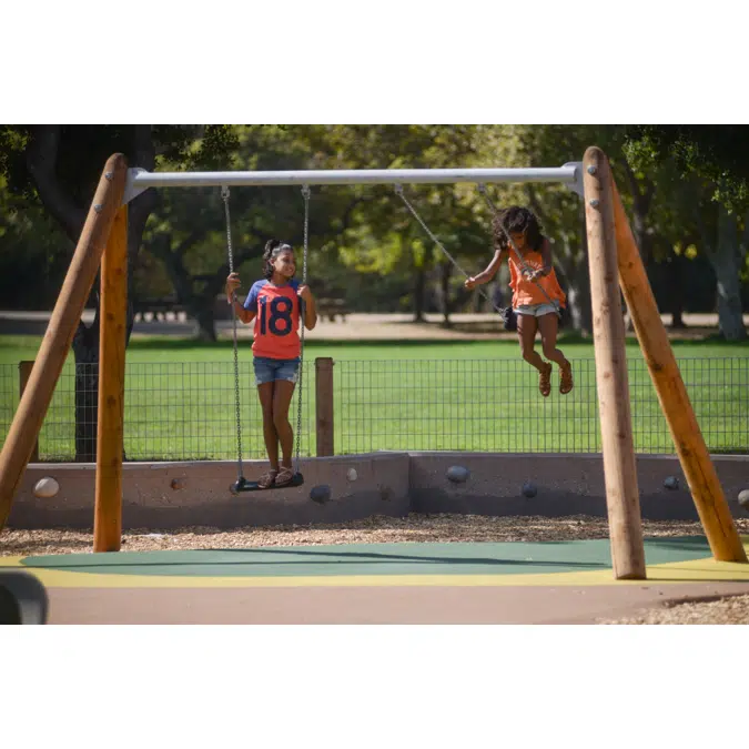 Toddler's Twin Swing special