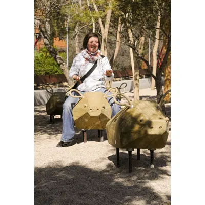 Image for Wobbly Wild Boar | Playground Equipment | Spring Rocker