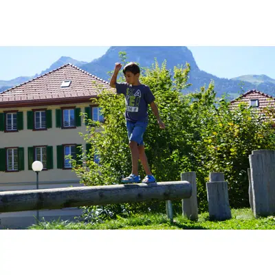 Image for Straight Balancing Beam | Playground Equipment