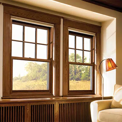 Premium Series: Double Hung Window图像