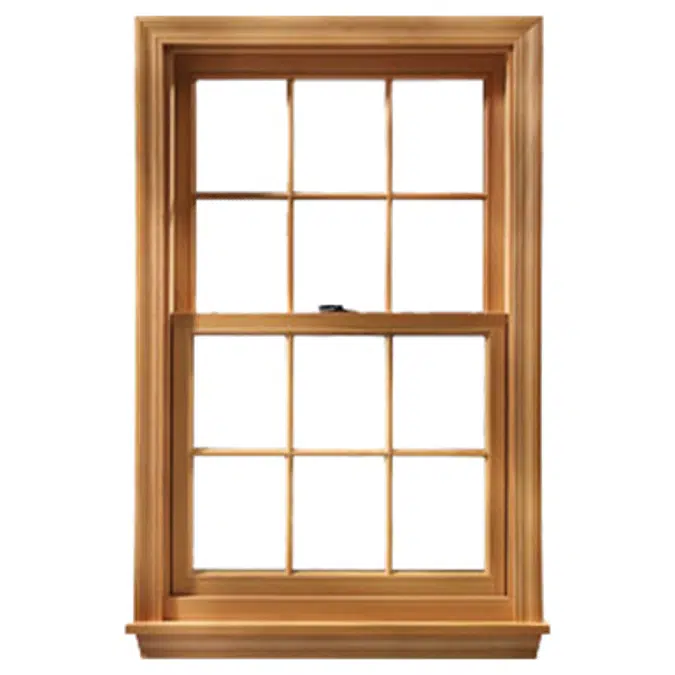 Premium Series: Double Hung Window