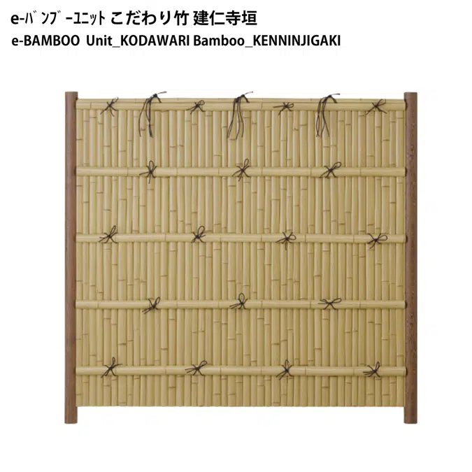 e-BAMBOO Unit 1