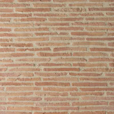 BRIQUETTE wall cladding, brick appereance图像