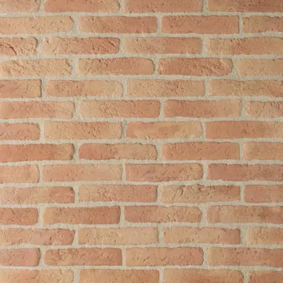 Image for BRIQUE Wall cladding Aged terracotta brick appearance