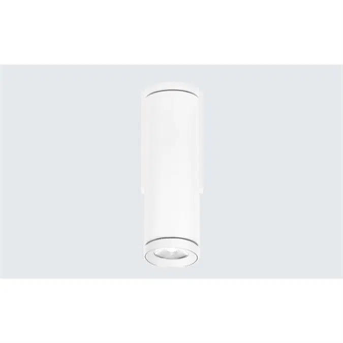 Cylinder Small Wall Mount Direct/Indirect